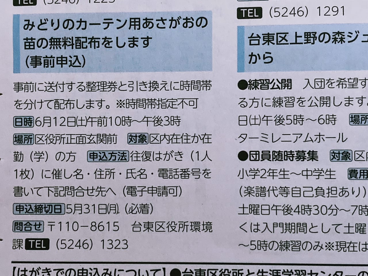 台東区 みどりのカーテン用のあさがおの苗の無料配布のお申し込みは21年5月31日 月 まで 号外net 台東区