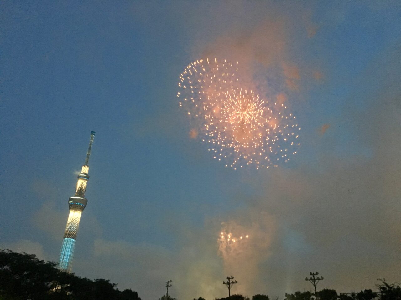 2019年市民協賛観覧席
