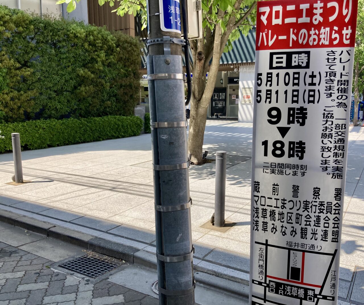 2025年5月紅白マロニエまつり5