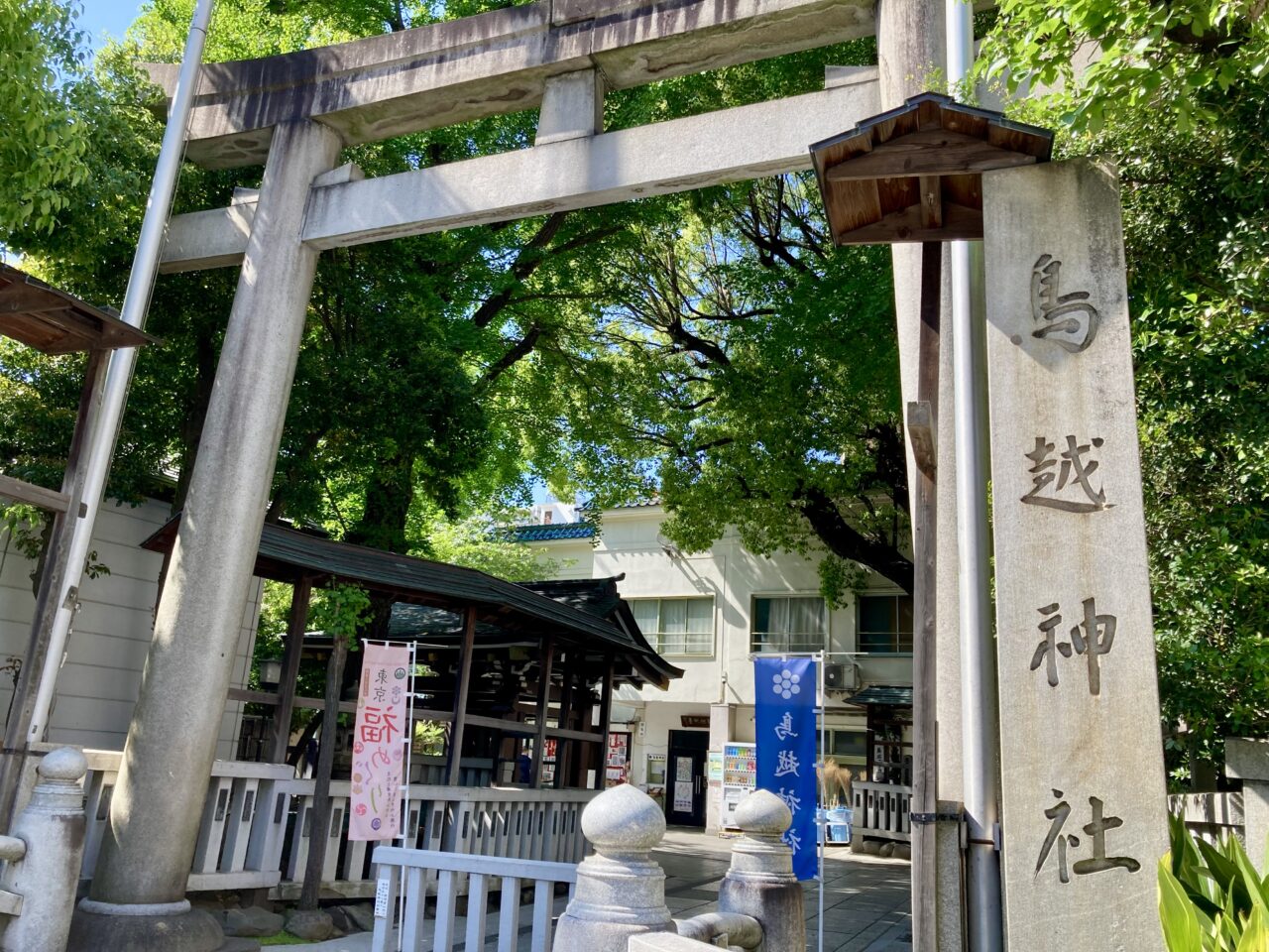 2025年5月鳥越祭川柳3
