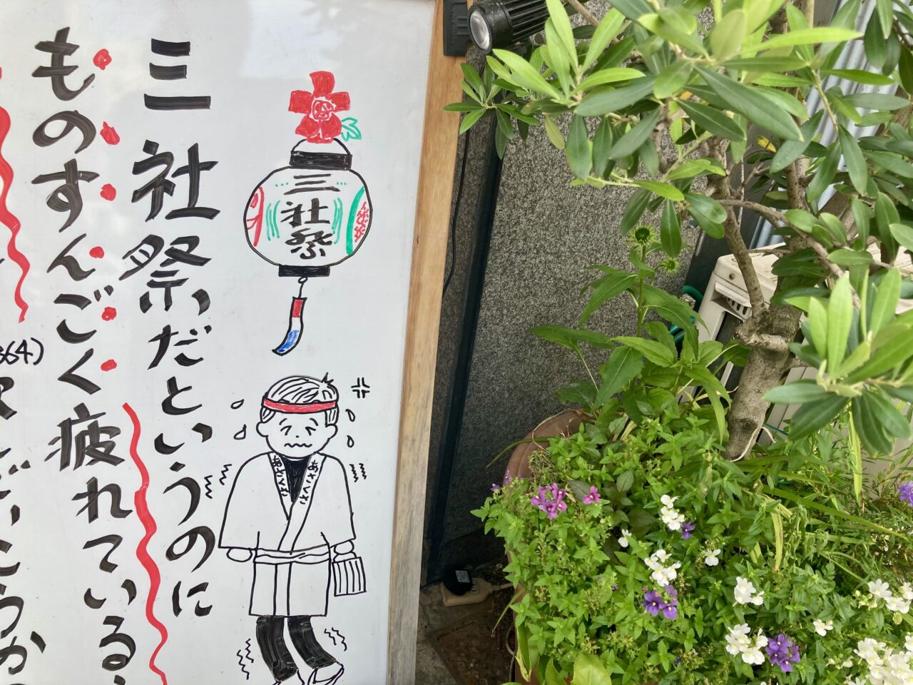 2025年5月浅草三社祭6