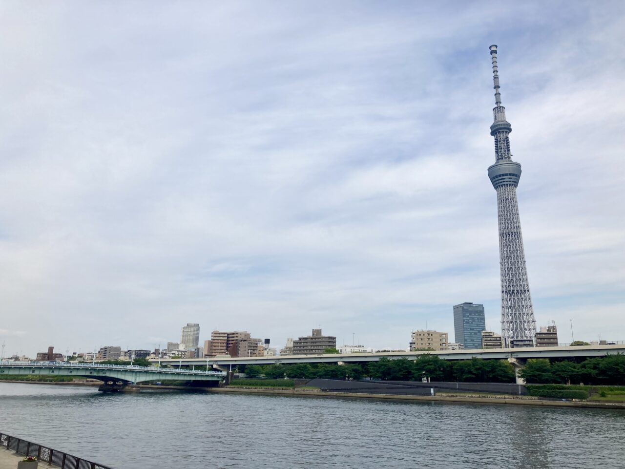 2025年5月隅田川1