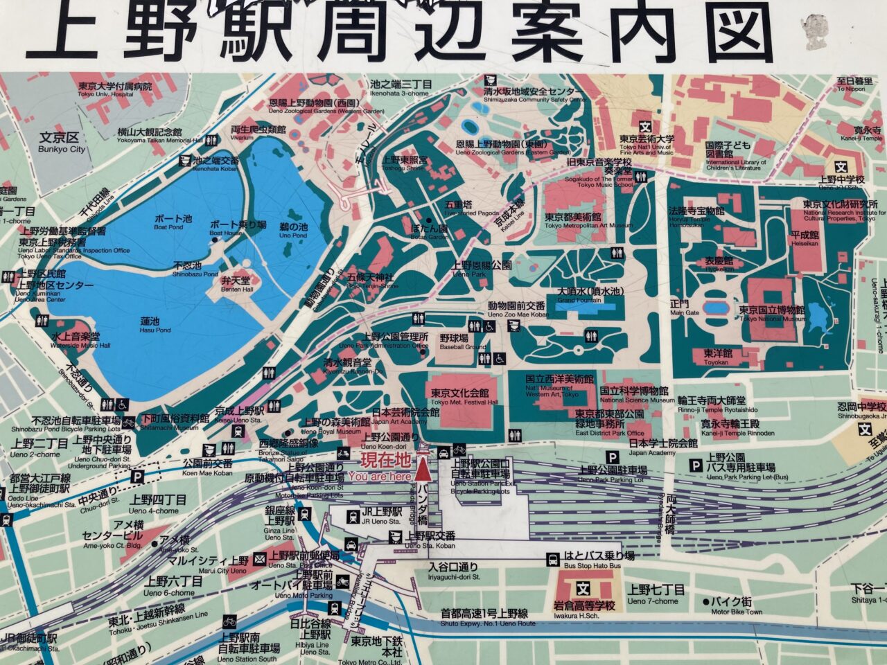 2025年5月国際博物館の日4