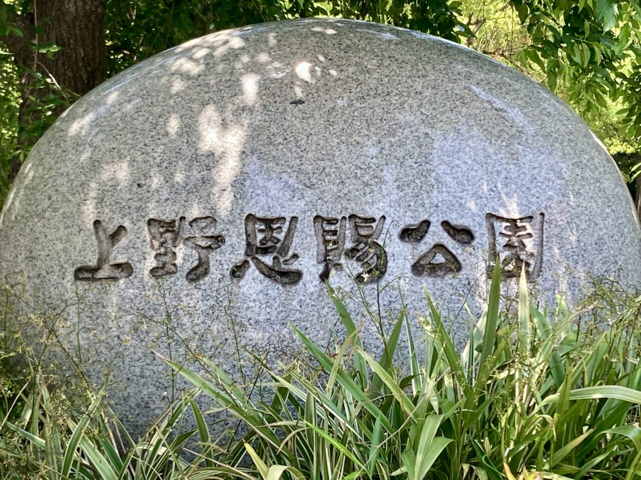 2025年5月陶器市5