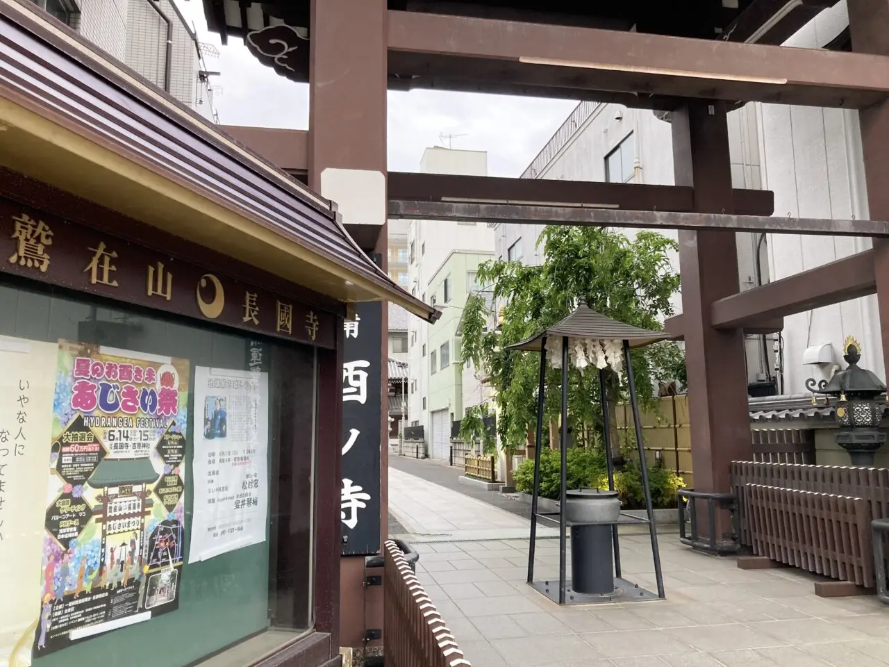2025年6月あじさい祭3