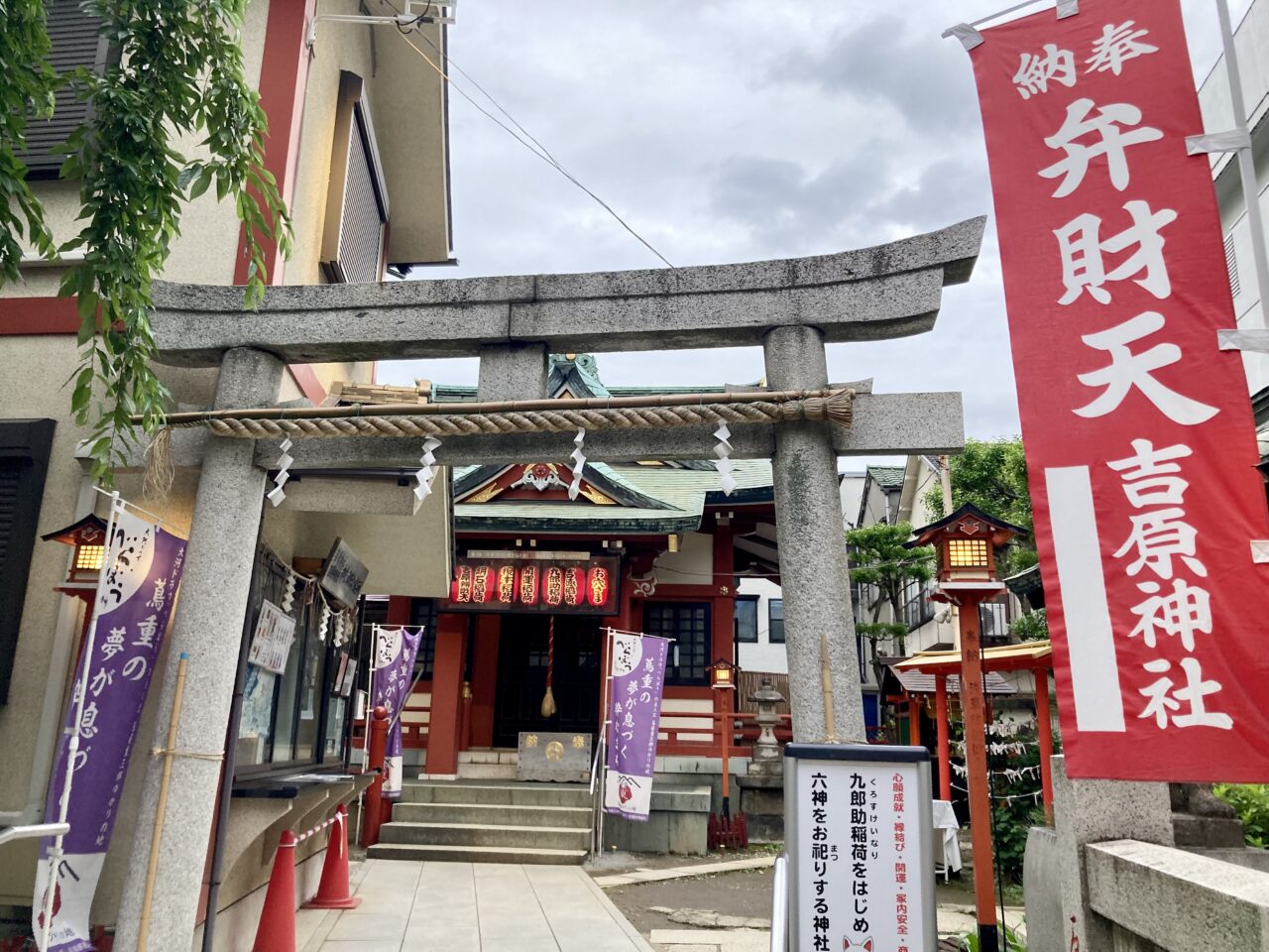 2025年6月あじさい祭4