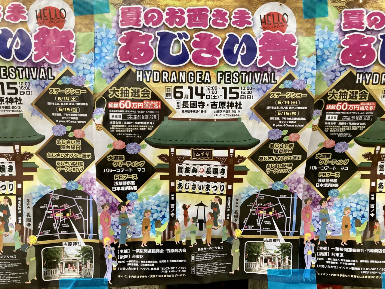 2025年6月あじさい祭2