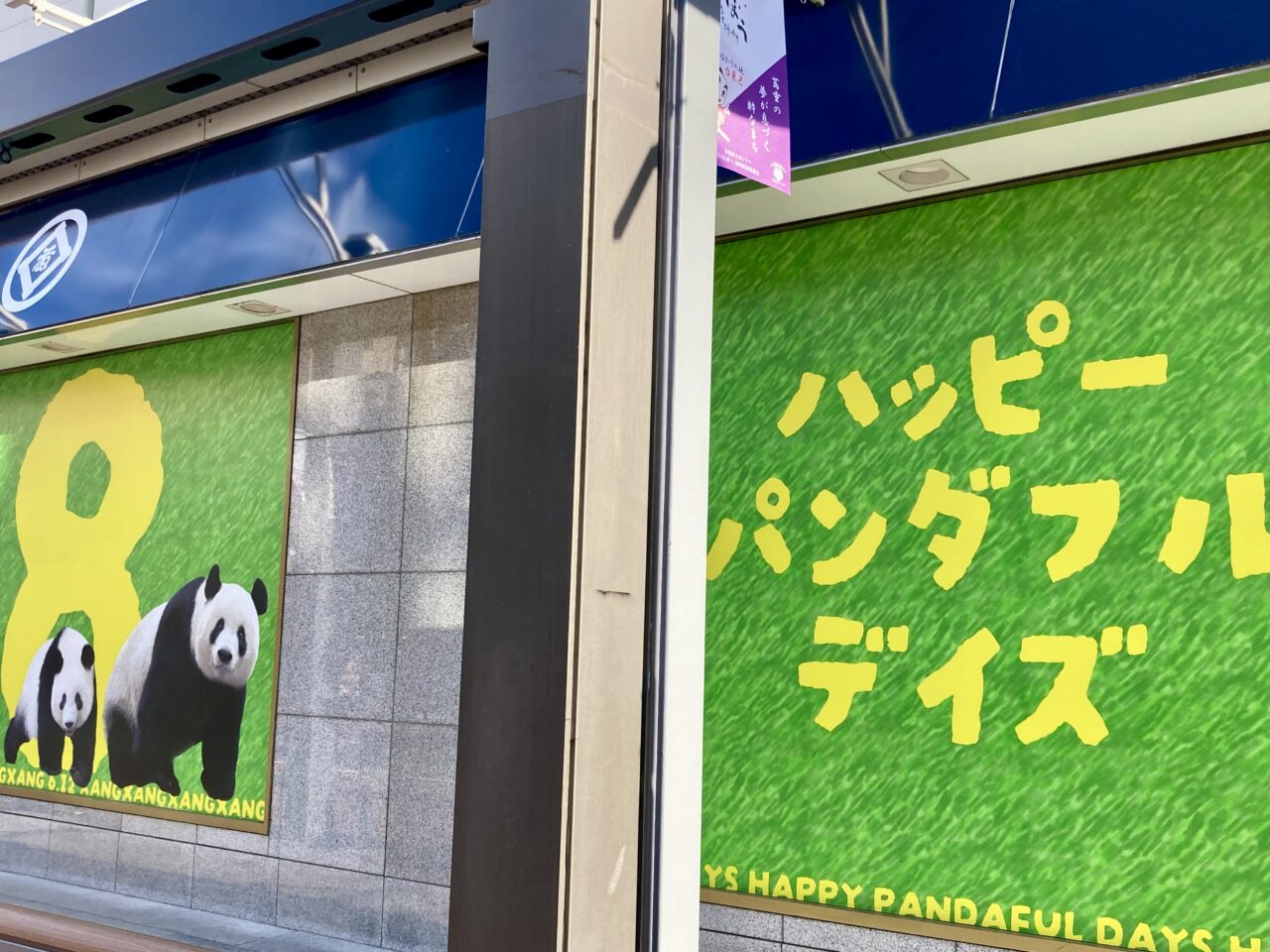 2025年5月松坂屋パンダ2
