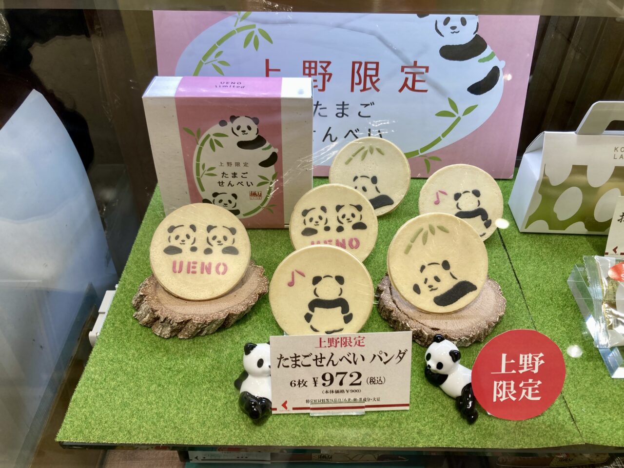 2025年5月松坂屋パンダ6