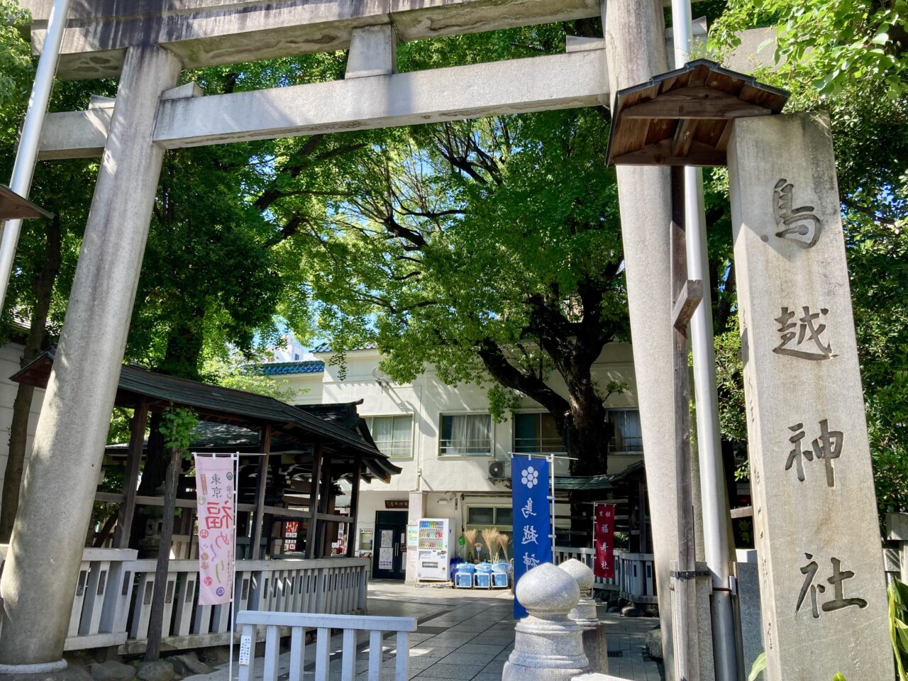 250607鳥越祭5