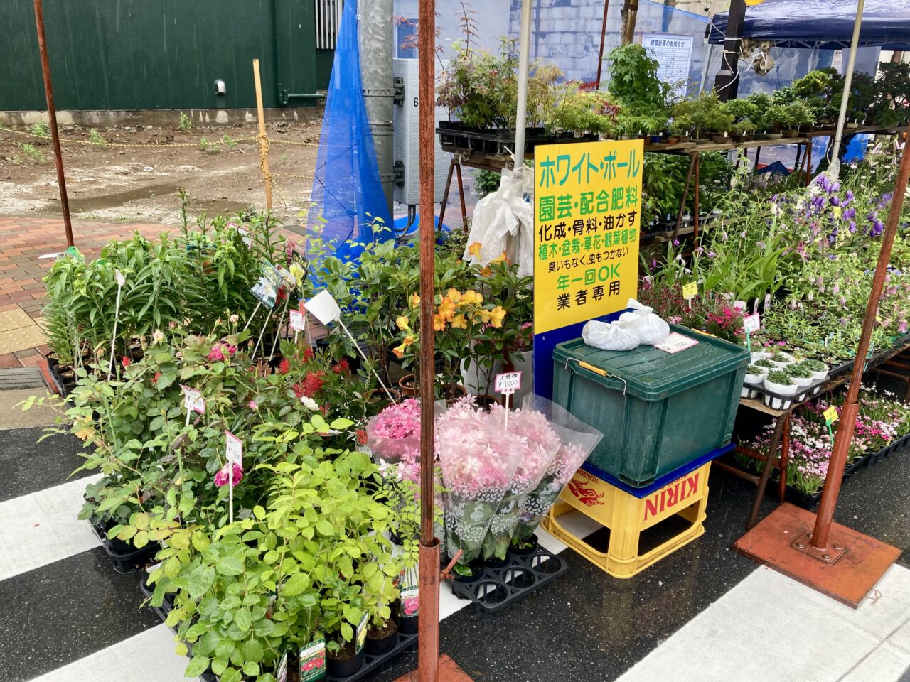 2506植木市3