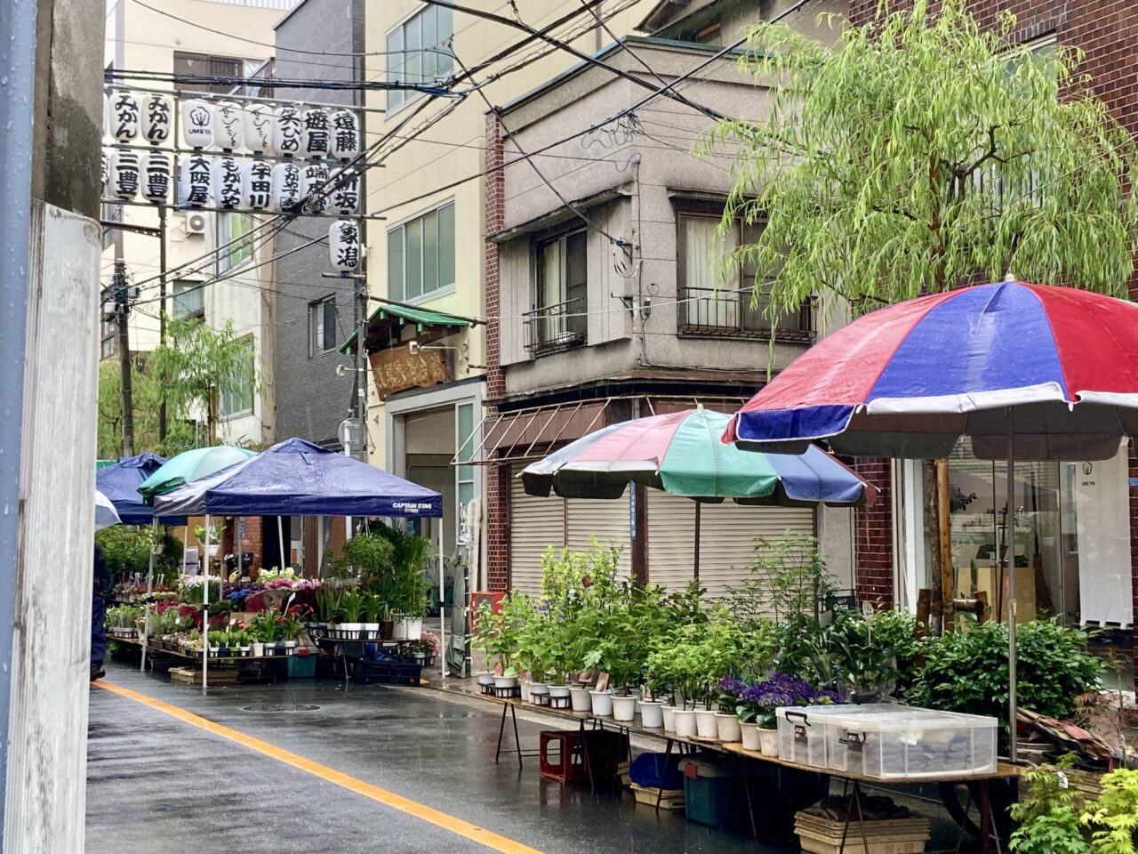 2506植木市2