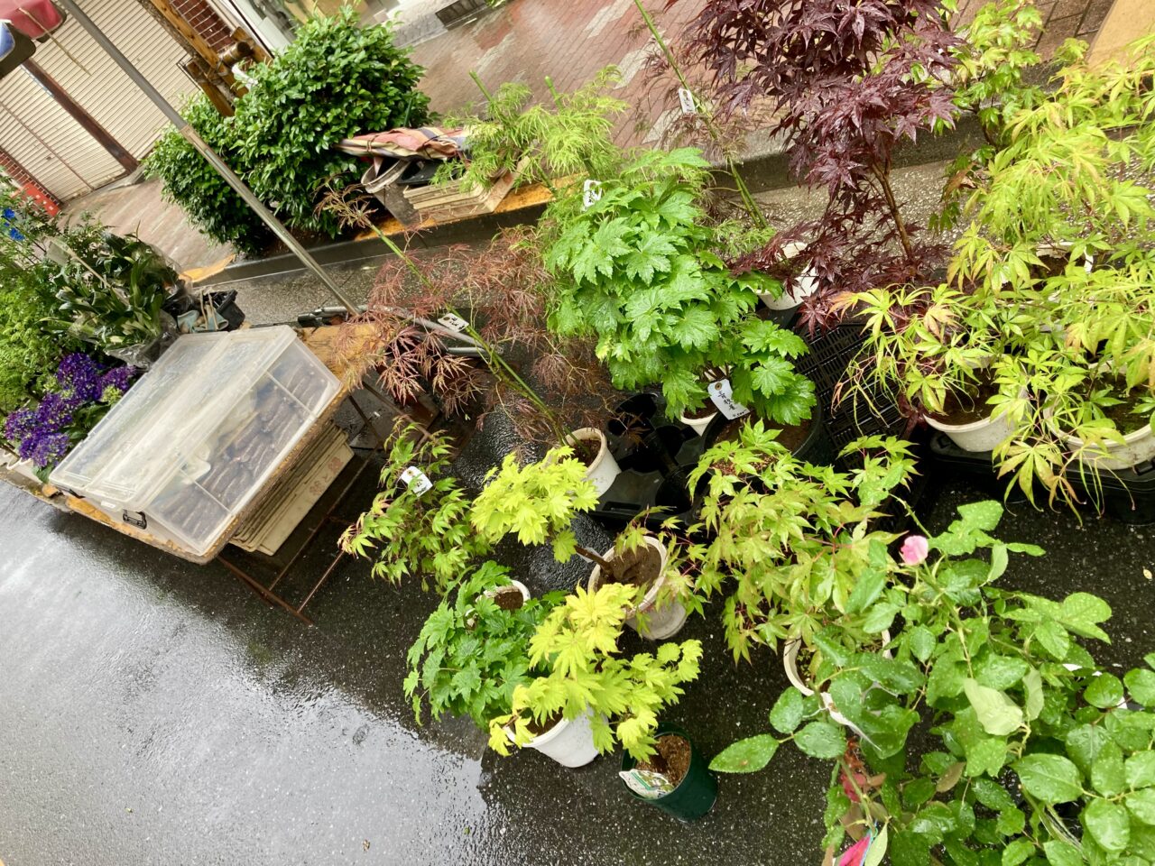 2506植木市4