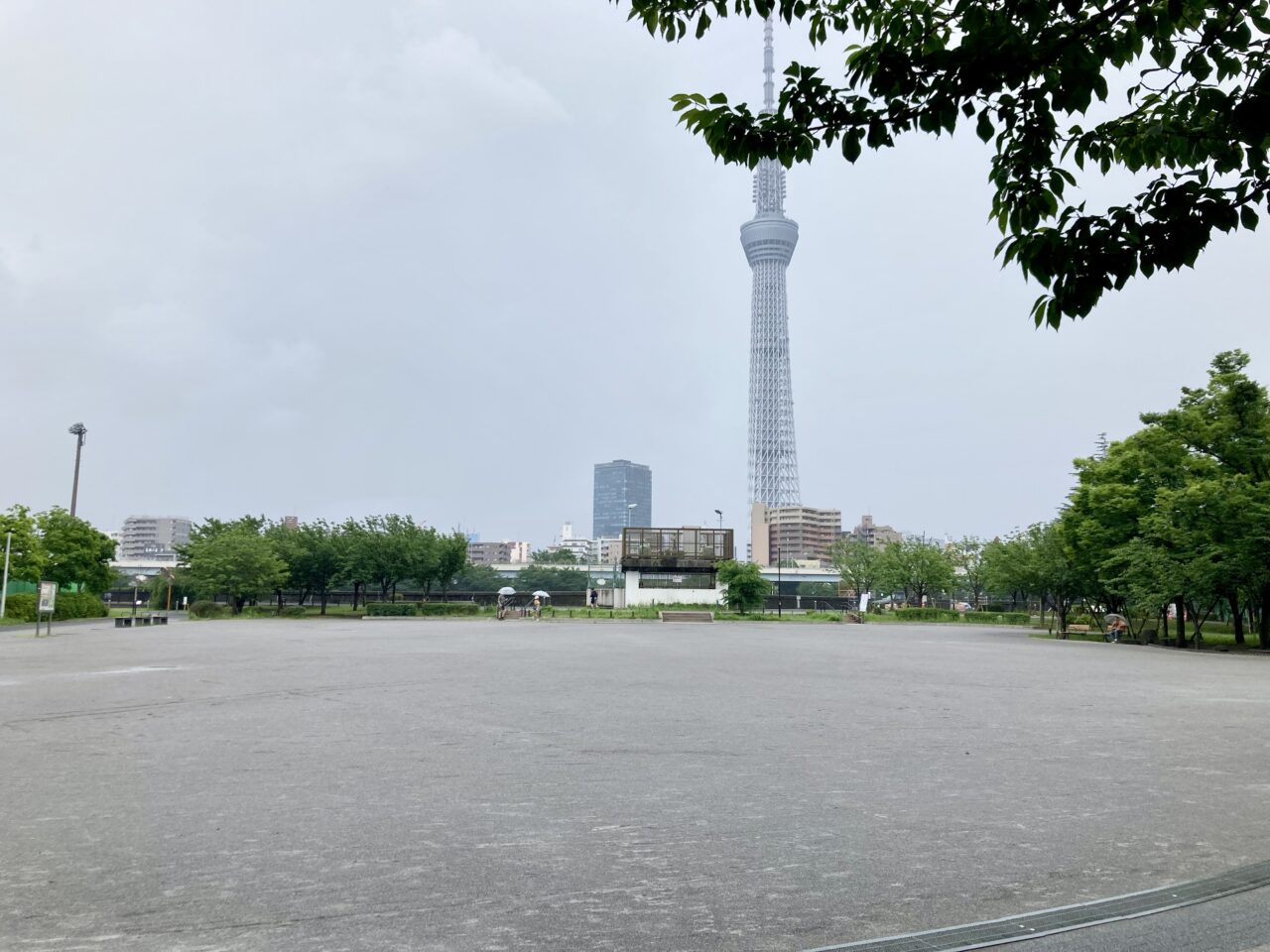 250628盆踊り2