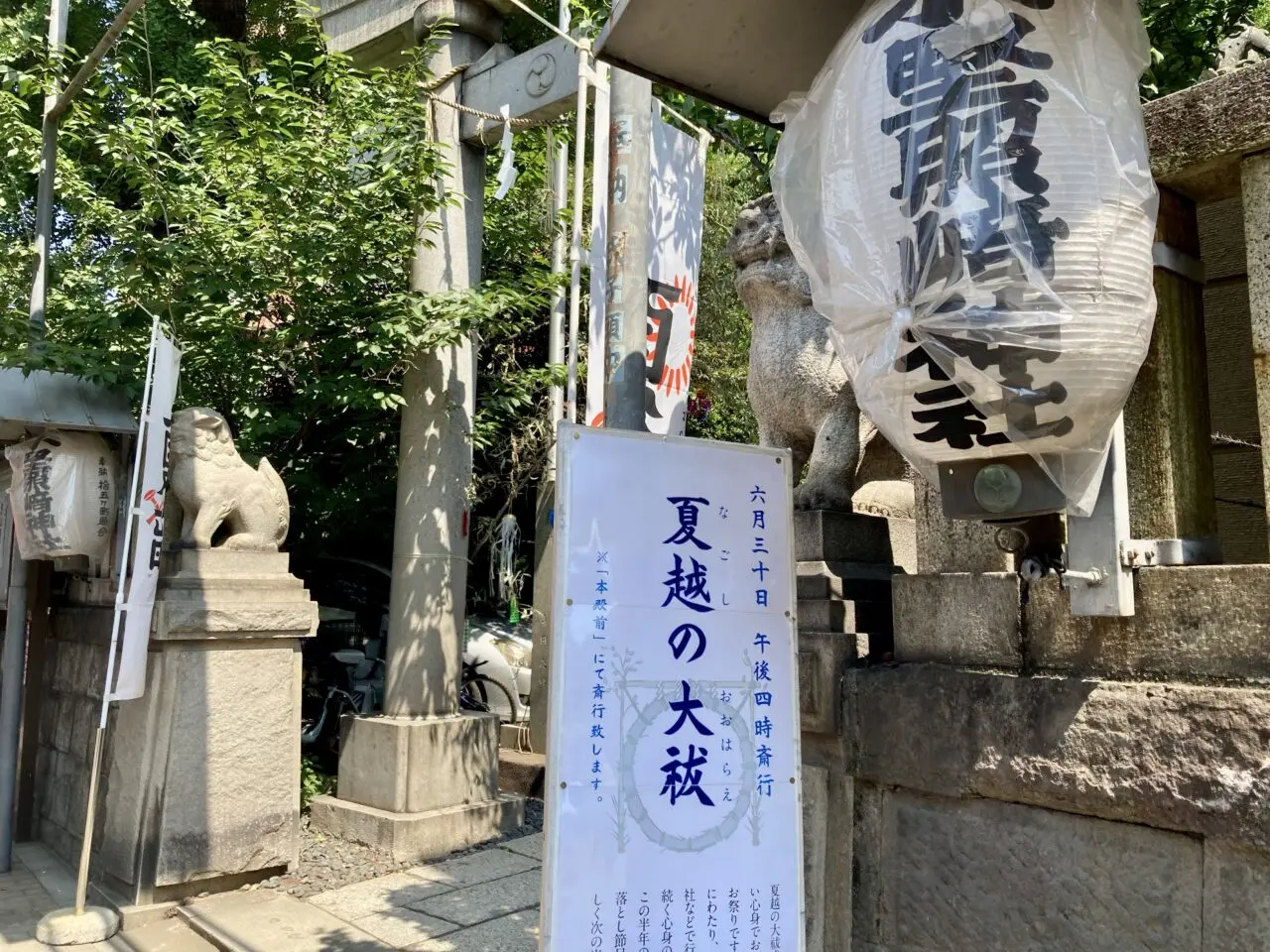 250630お山2

