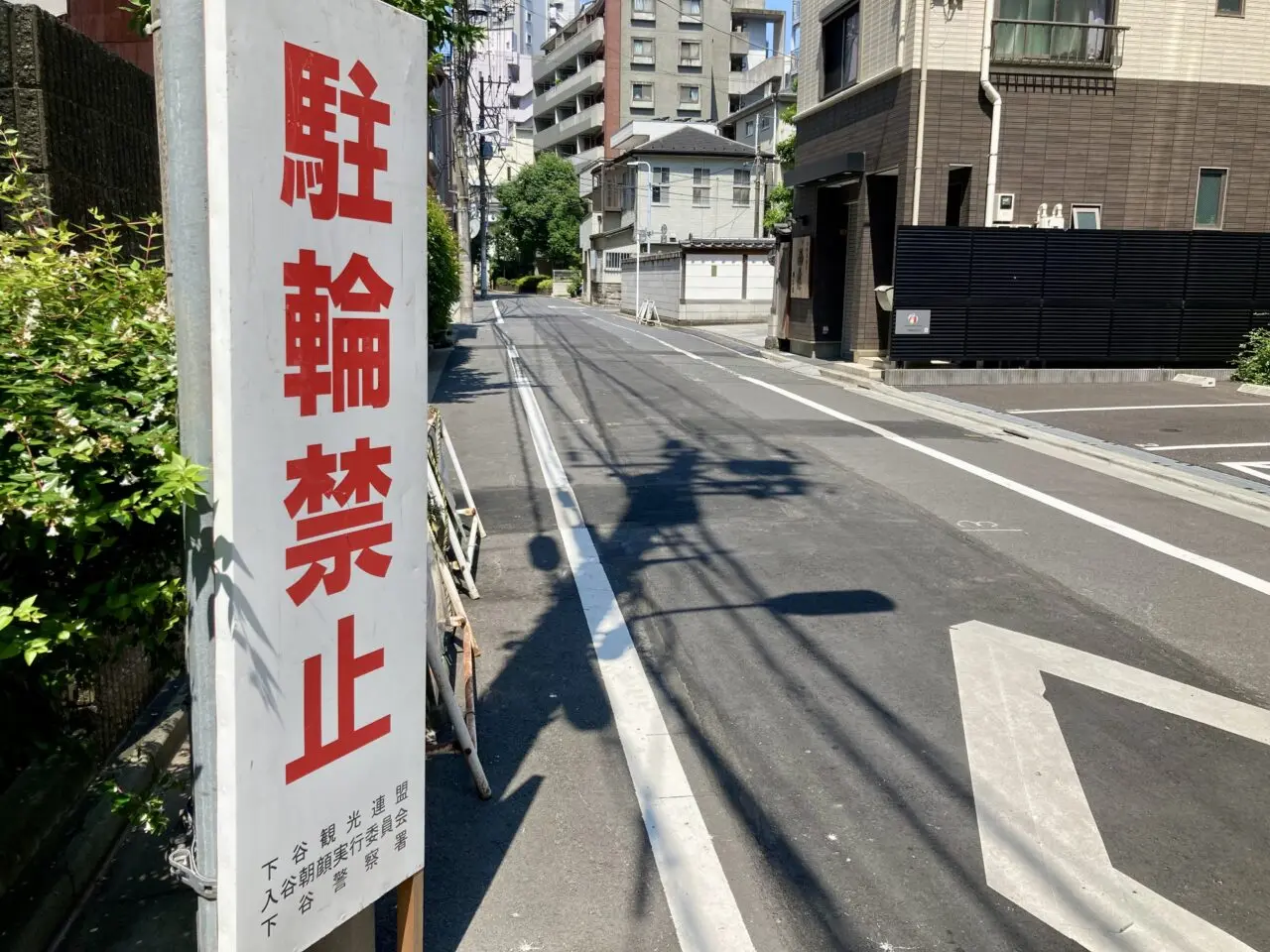 2507朝顔4