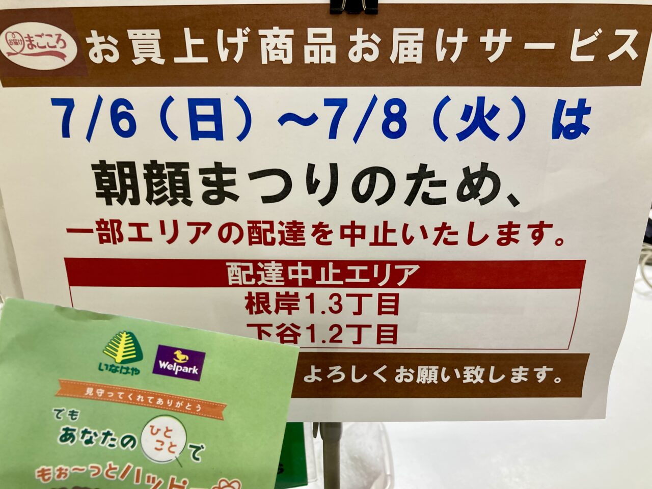 2507朝顔5