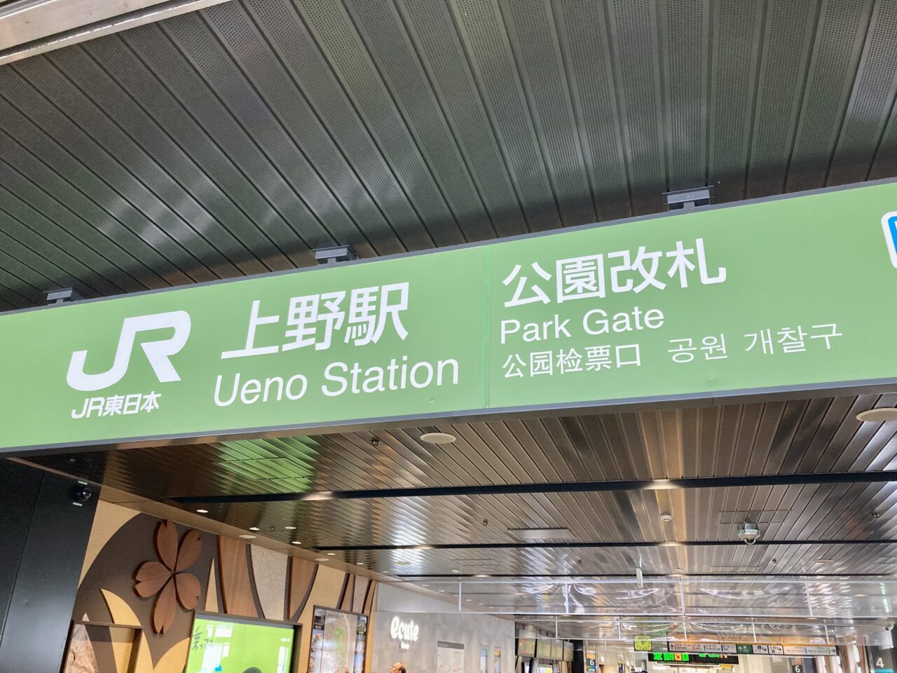 250805東京都美術館5