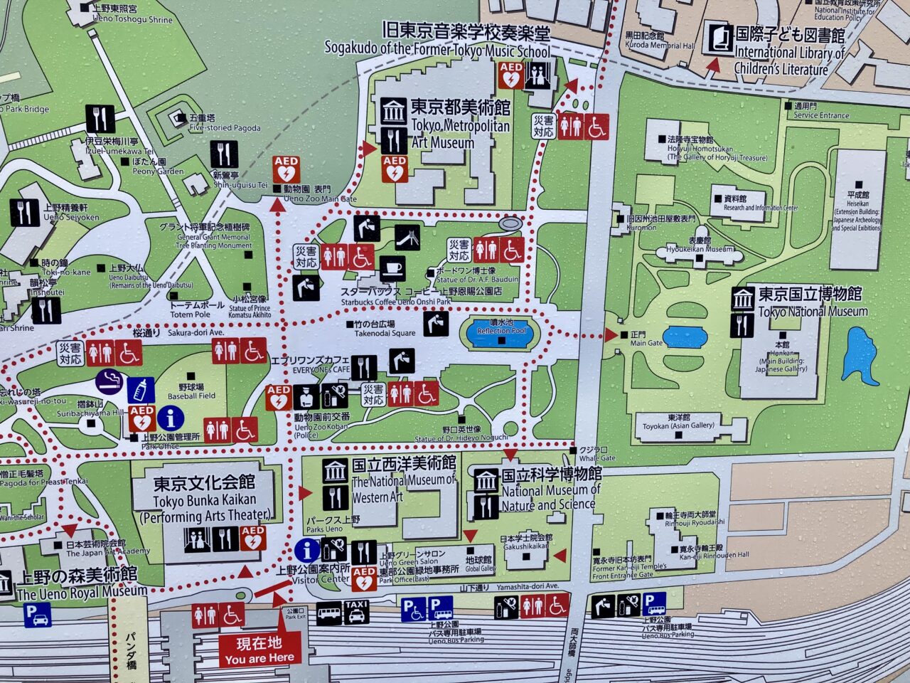 250805東京都美術館4