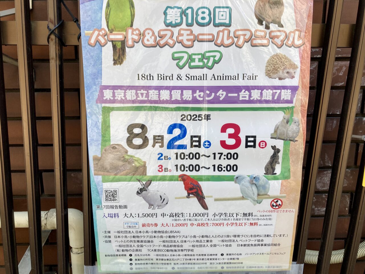 250802バード＆1