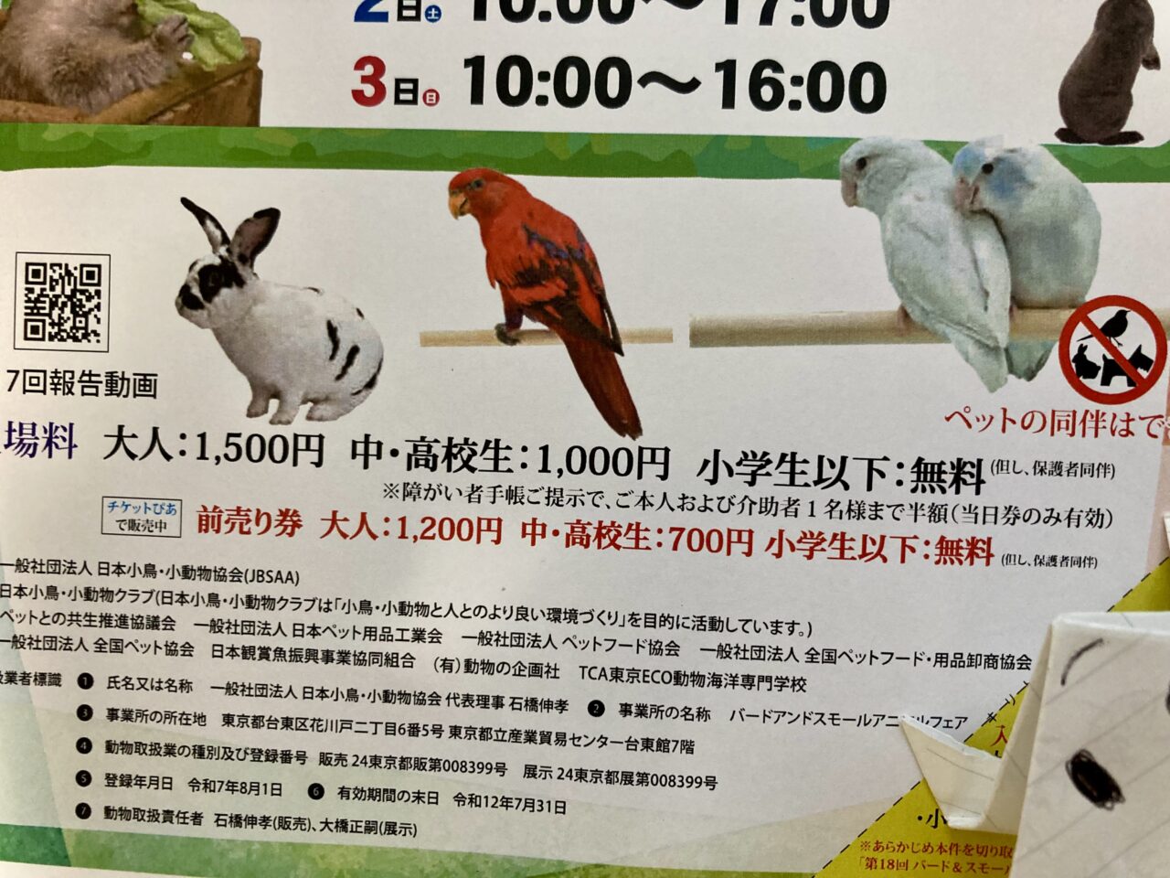 250802バード3