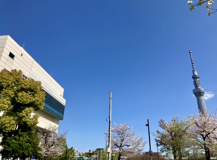 250927たいとうスポーツフェスタ3