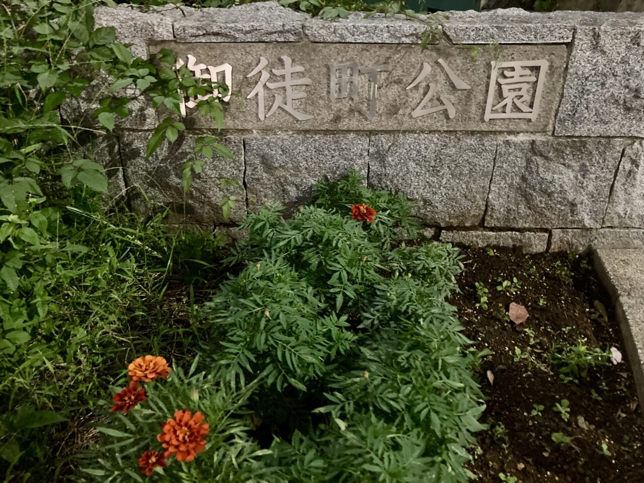 251011清走中3