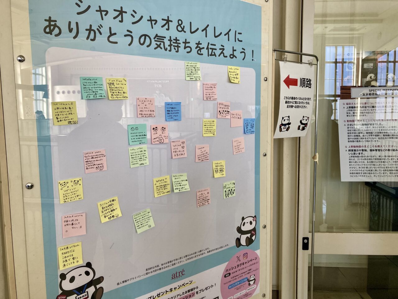 260118パンダカーニバル5