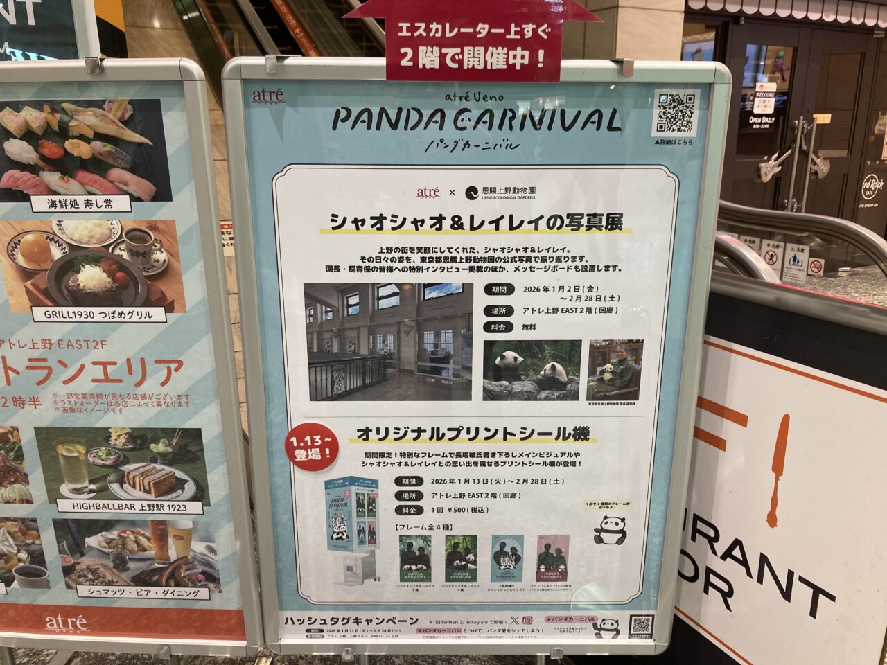 260118パンダカーニバル3