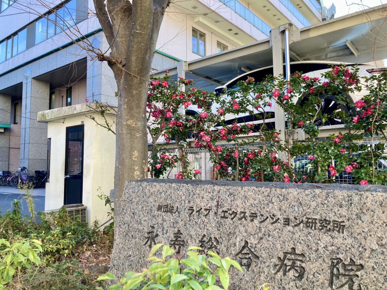 260123スウェーデン4