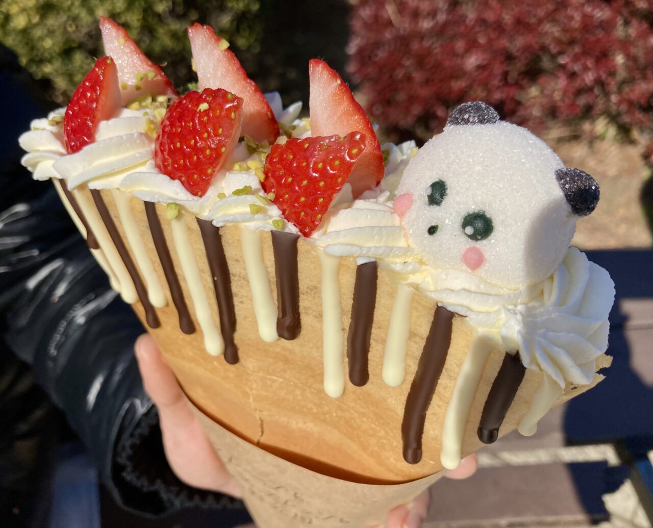 260207クレープとエスプレッソと上野公園7