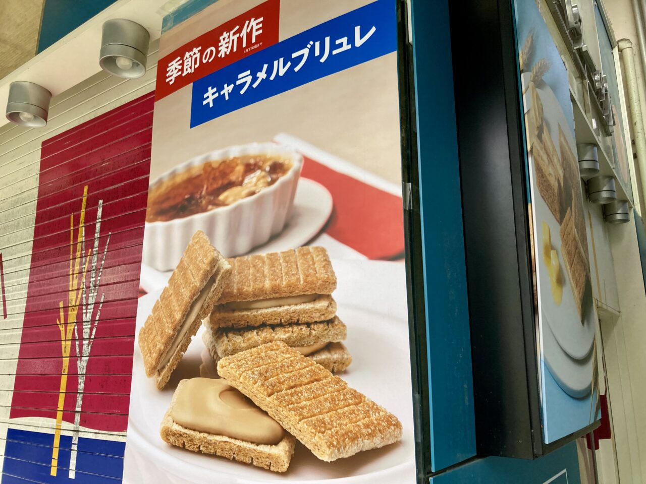 260212シュガーバターの木3