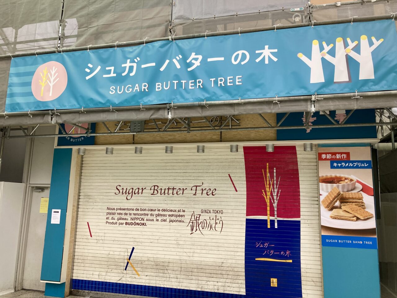 260212シュガーバターの木2