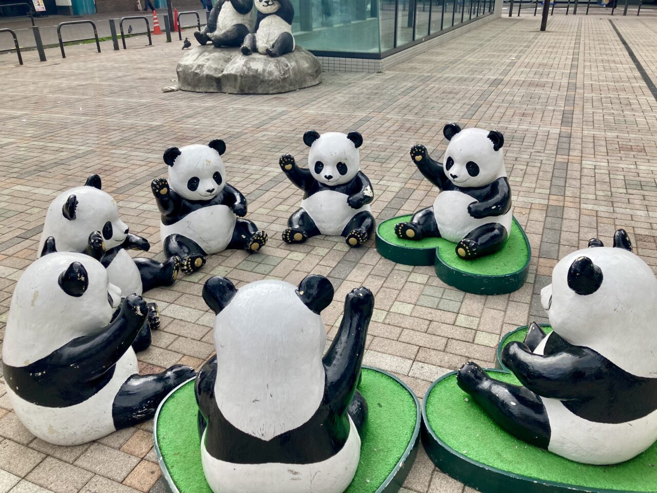 260319ファッション雑貨5