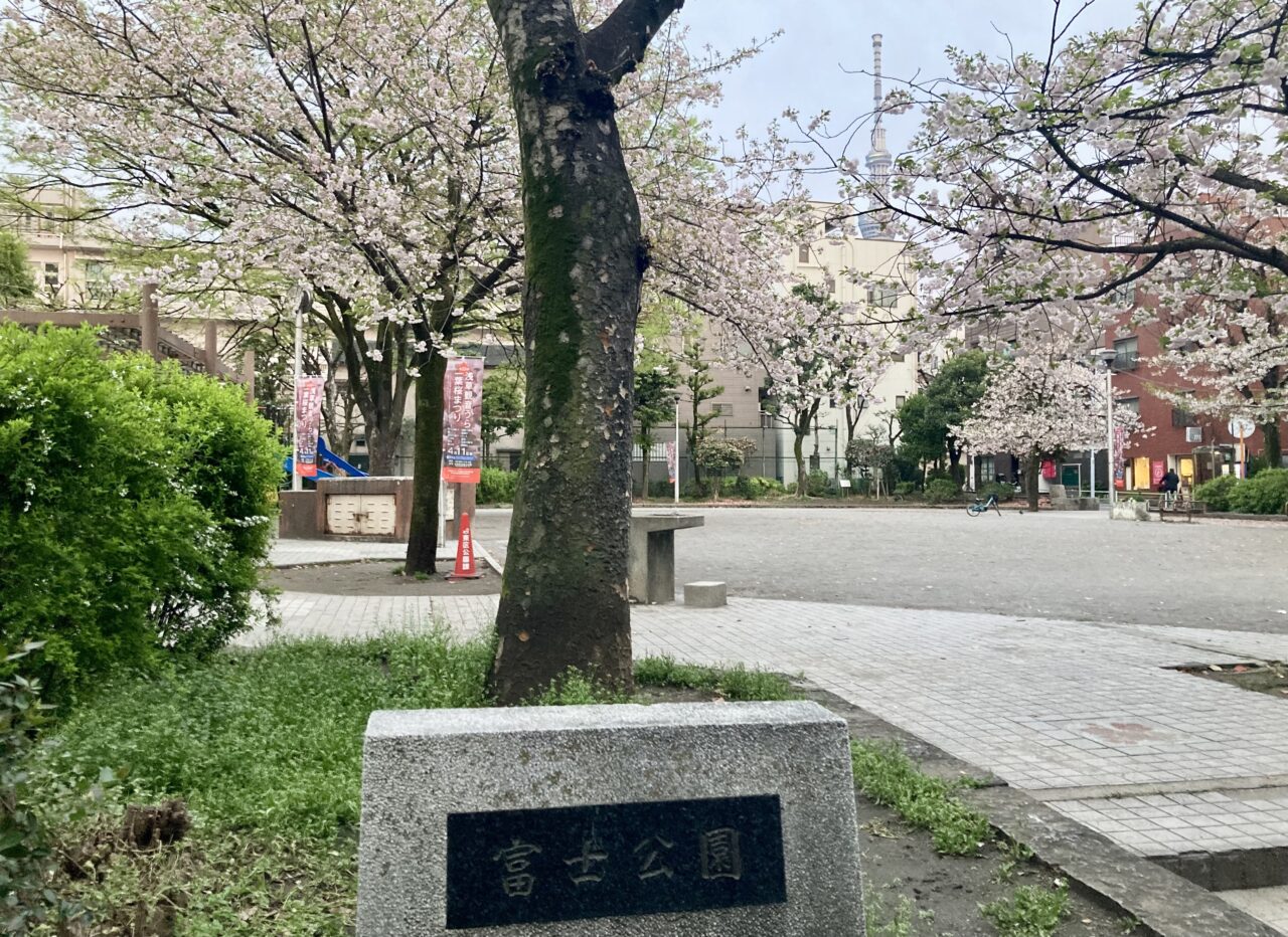 260407一葉桜まつり7