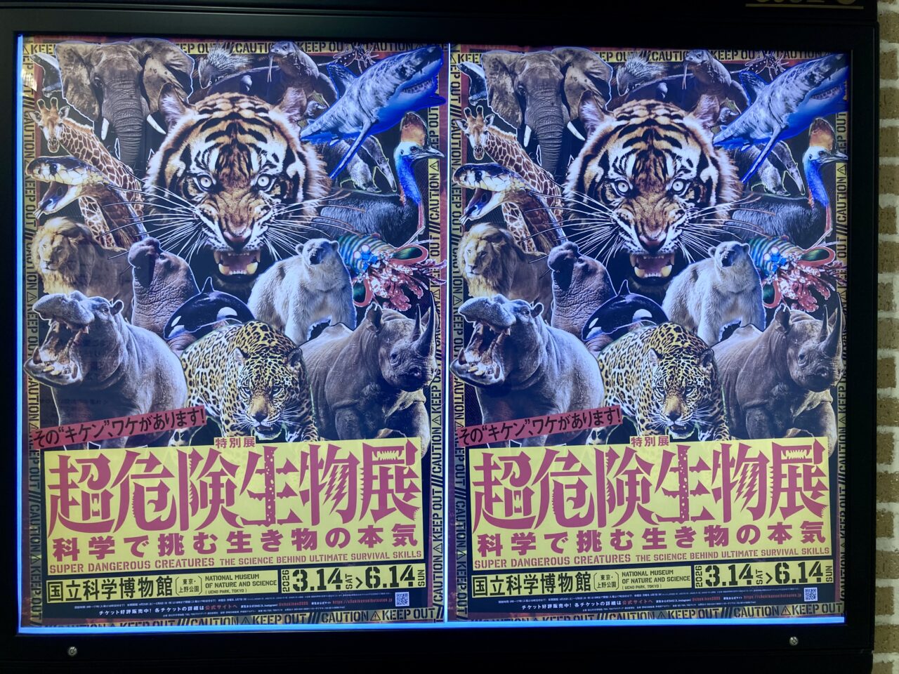 260416国立科学博物館1