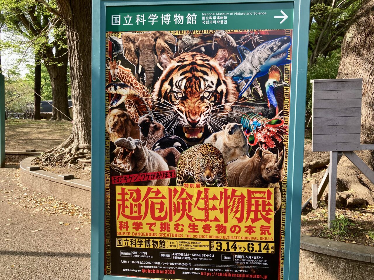 260416国立科学博物館4