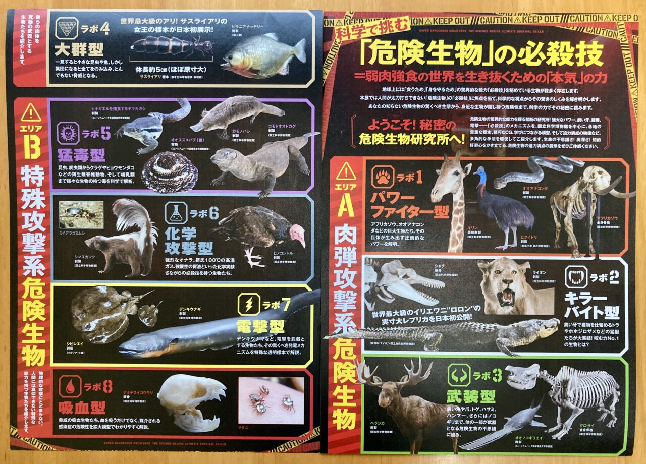 260416国立科学博物館6