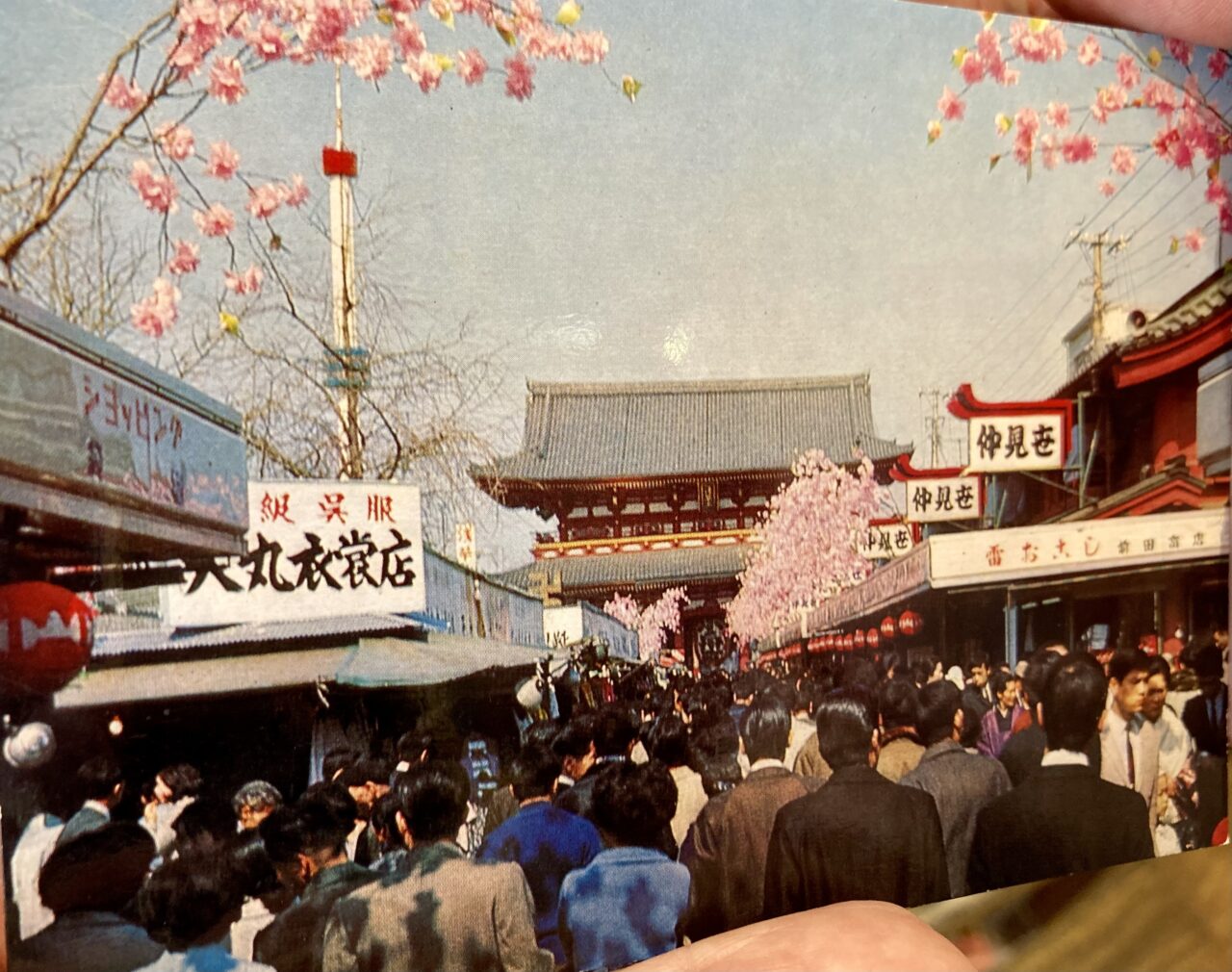 260423大丸衣裳店11