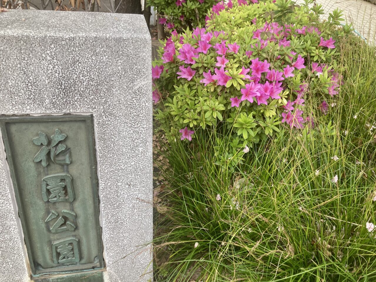 260503こどもの日4