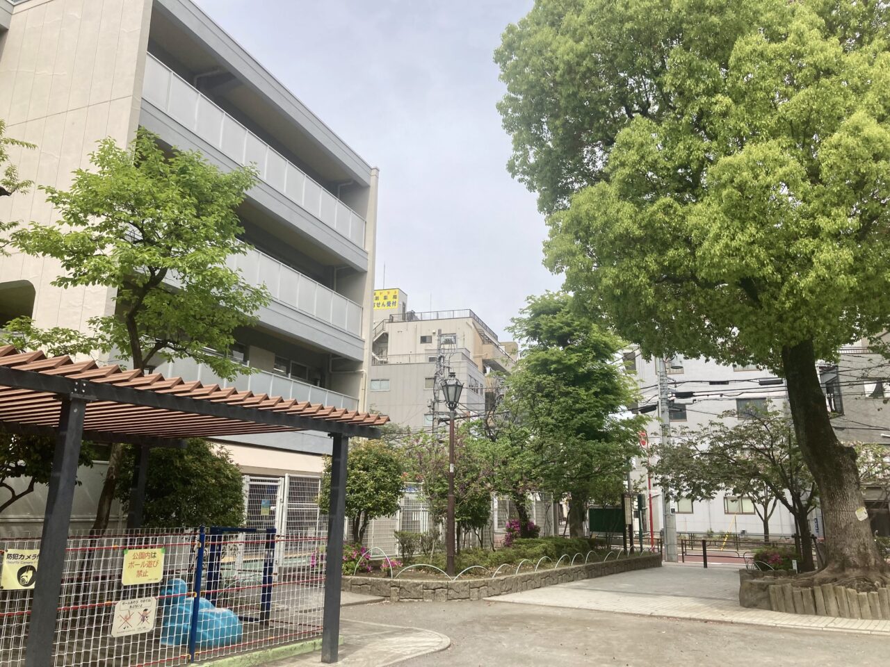 260503こどもの日5