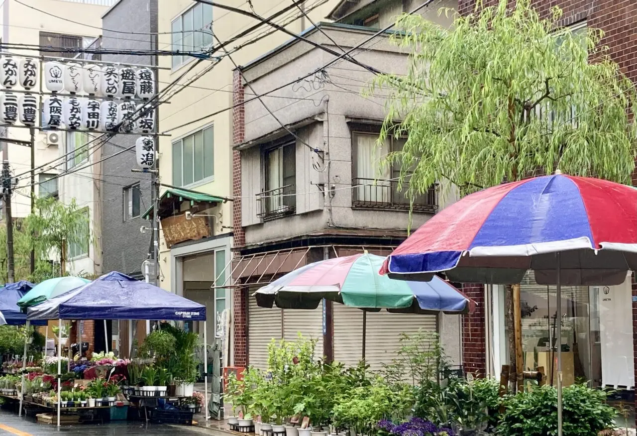 260529植木市4