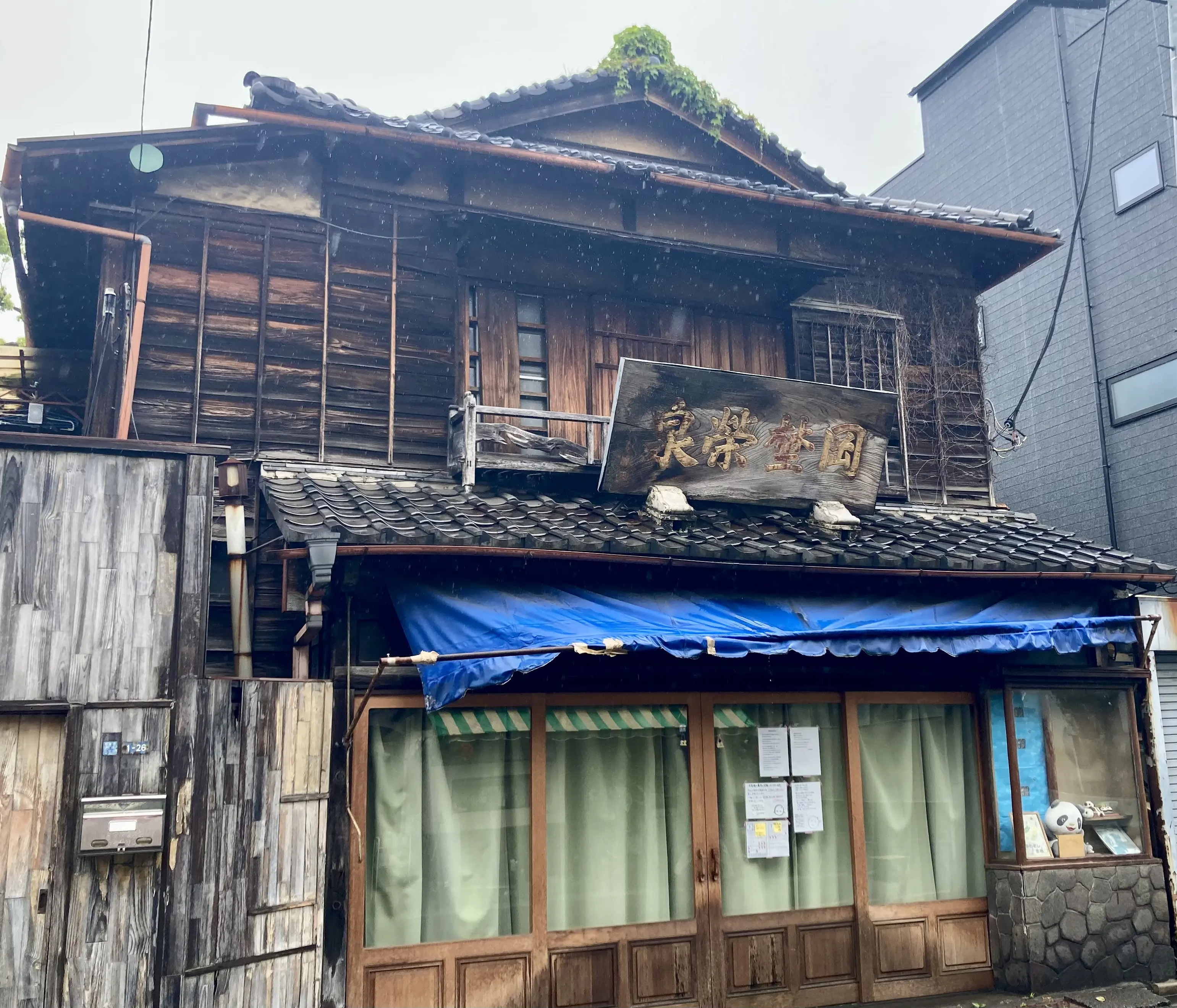 260502谷中岡野1