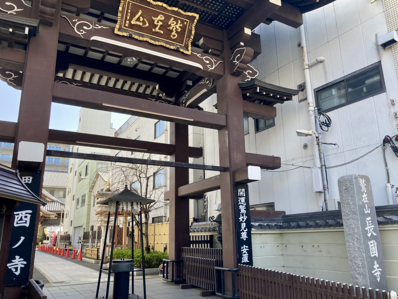 260603あじさい3