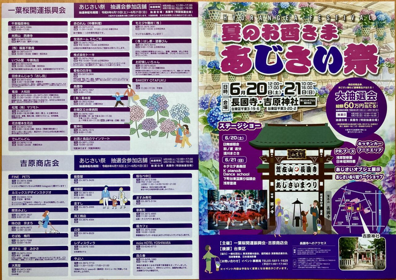 260603あじさい2