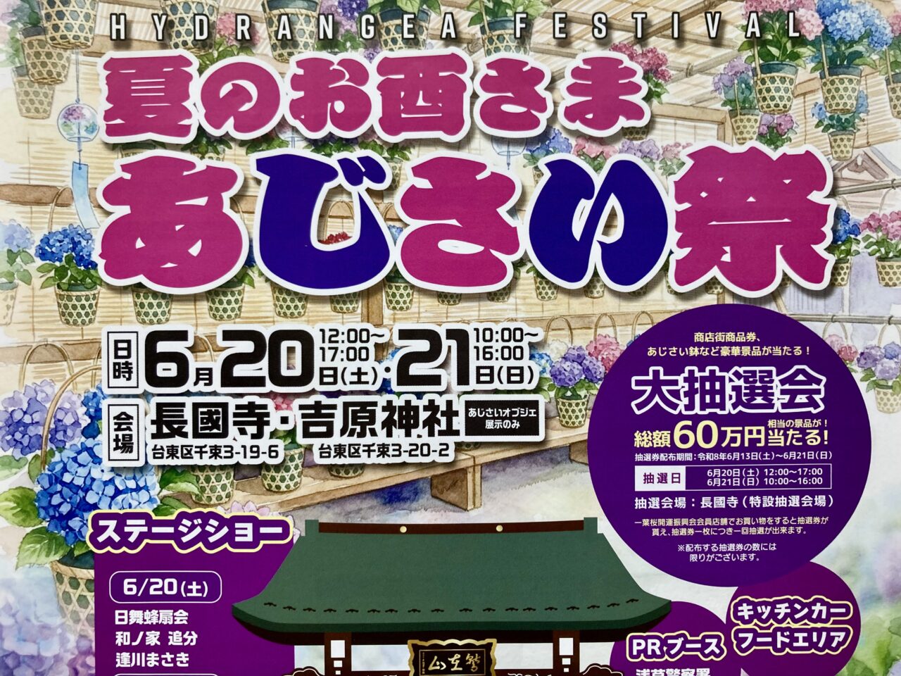 260603あじさい1