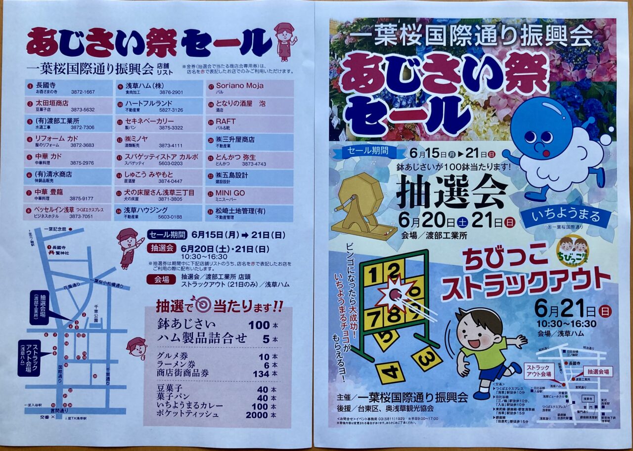 260604一葉桜国際通り振興会2