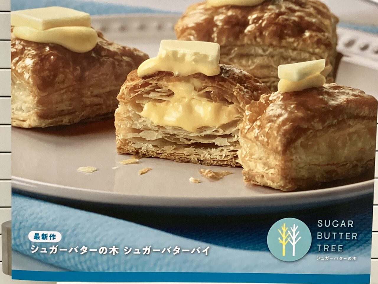 260612シュガーバターの木5