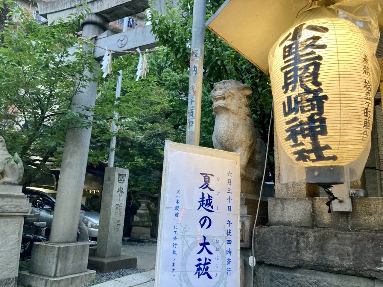 260626お山7