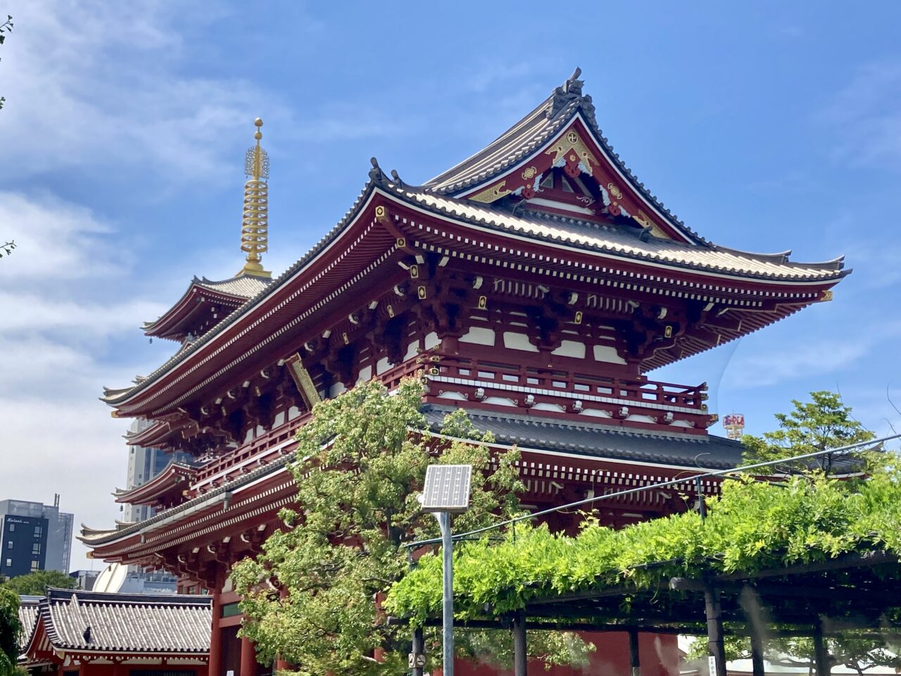 260621伊藤園4